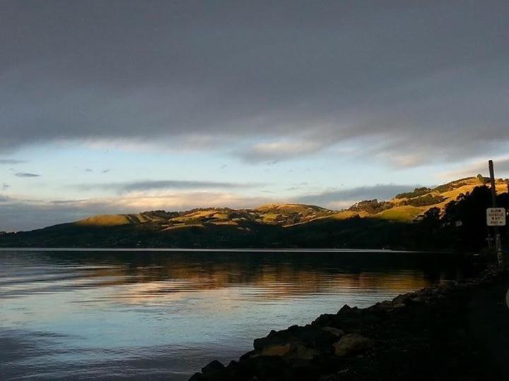Otago Peninsula Paradise Dunedin Eksteriør bilde