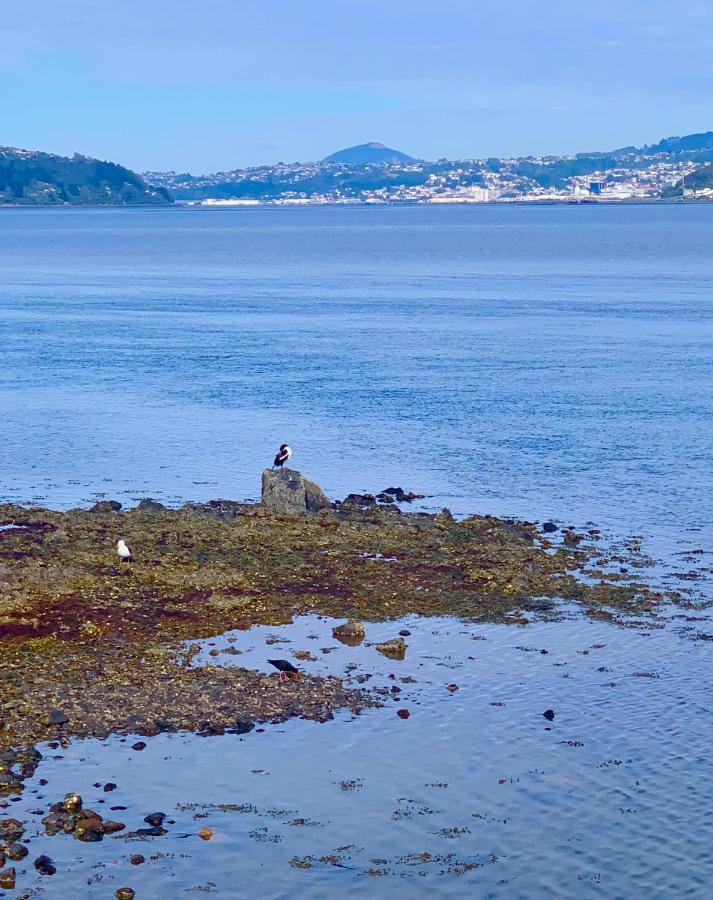 Otago Peninsula Paradise Dunedin Eksteriør bilde