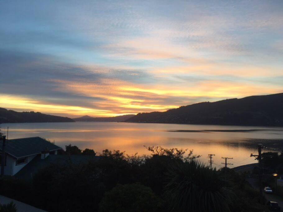 Otago Peninsula Paradise Dunedin Eksteriør bilde
